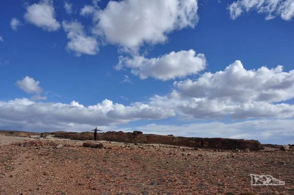 Examinando de perto antigas árvores de 150 milhões de anos transformadas em pedra no Monumento Natural Bosques Petrificados, região de Caleta Olivia, no sul da Argentina
